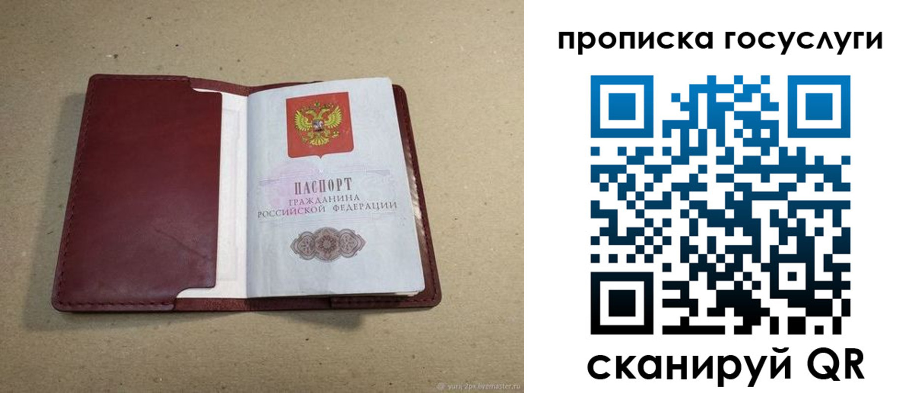 прописка поиск в Амурской области
